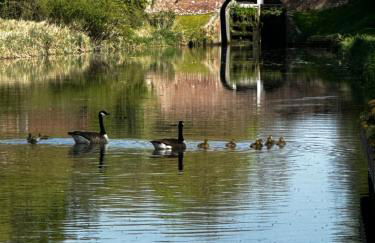 The Old Chapel - Photo 45