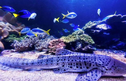 Awesome Home In Alette With Wifi - Foto 29