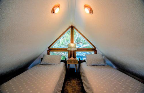 Green Parrot - Foto 11