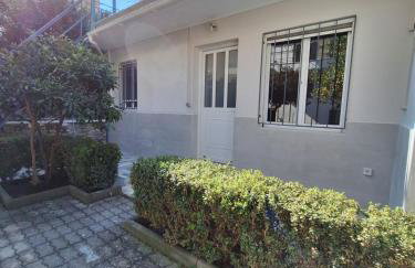 City Garden - Photo 12