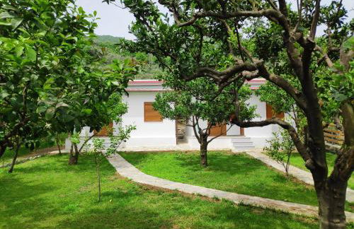 Lemongarden by the sea - Foto 13