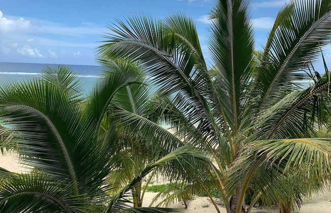 Rarotonga Villas - Foto 75