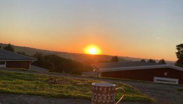 Caban Croeso-The Welcome Cabin, Holiday let, near Mansion House Llansteffan - Foto 3