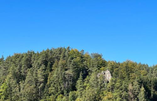Ferienwohnung Pfaffensteinblick - Foto 10