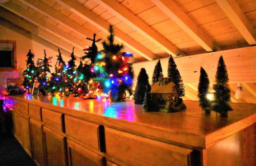 Dream Getaway-Secluded Hot Spa-Walk to Village-Walk to Pineknot Trailhead-Plus King Bed! - Foto 22