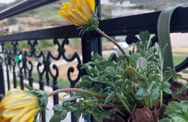 Boho Zen Retreat - Photo 8