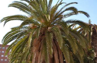 Beach Malvarrosa, Cabañal, Wifi free. Ca' Micaela. - Photo 53