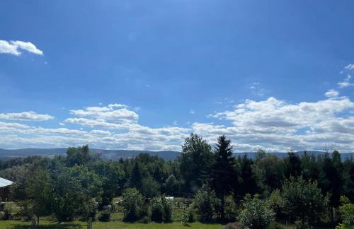 Lunatykowa Chata - Photo 31