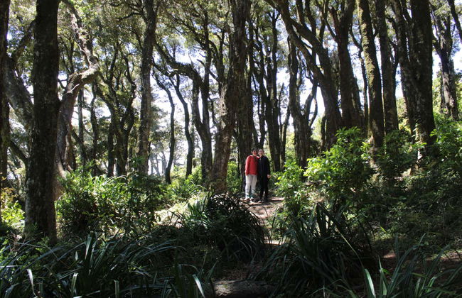 Punta Curiñanco Tour - Photo 5