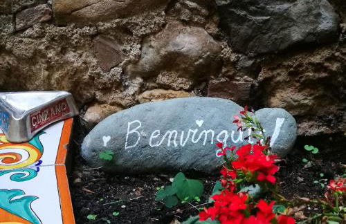 Ca la Teia - Foto 29