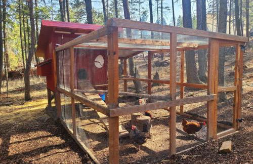 Blacktail Cabin Hideaway with hot tub - Foto 49