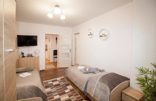 Apartamenty Bieszczady - Foto 62