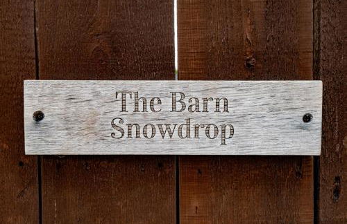 Luxurious Snowdrop Cabin with Private Hot Tub - Photo 27