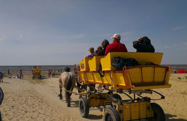 Sahlenburger Ferienhaus - Foto 32