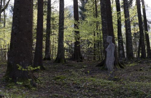 Trentino Apartments - Il Gufo Vacanze - Foto 35