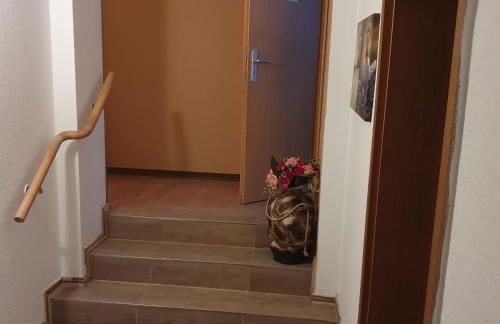 Halle, Bestes in Preis- Leistung- Lage, City, EG, 84 qm, SD, 1- 3 Doppelzimmer, extra für sie kostenlose TV Lounge extra Küche u Bad bis 6 Personen - Foto 24