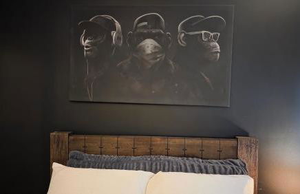 ANSI Splendor - Foto 20