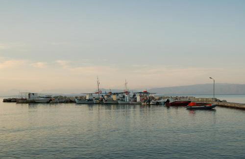 Traditional Corfiot House - Foto 6