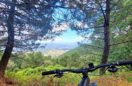 Casa Ypsilon Olive Oil - Photo 14