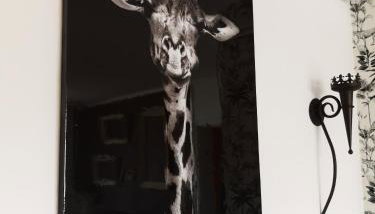 F3 proche centre-ville - Cote Blatin - Foto 4