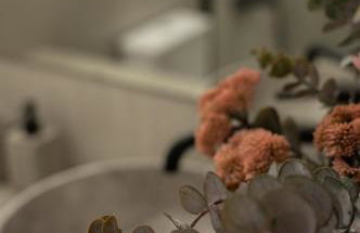 Κόρυς - Foto 48