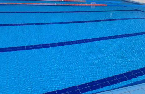 Ca naleix verdu - Foto 116