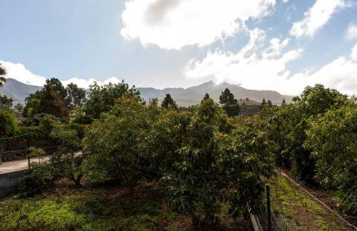 Luz de Luna - Foto 29