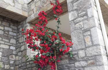 Stonevillas and Seaview Garden Marion - Foto 60