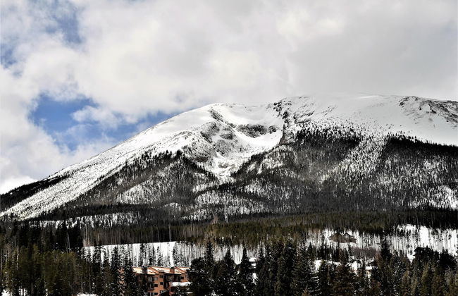 Forest Park 3 Bed 4 Bath Townhome - Foto 34