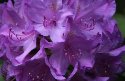 Ferien im Bomlitztal - Foto 46