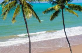 Casa em Maceió próx aeroporto em condomínio - Photo 6