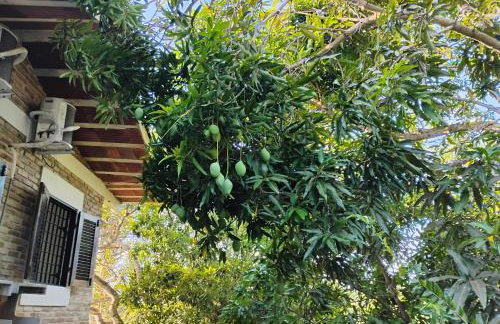 Olinda sítio Histórico Alto da Sé - Foto 7