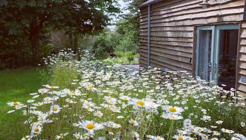 Bream Barn - sea view, woodburner, easy walk to the beach, parking, full kitchen - Foto 2