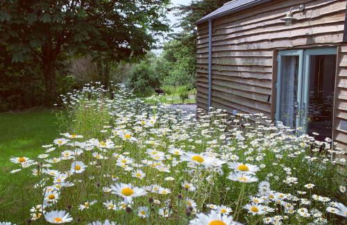 Bream Barn - sea view, woodburner, easy walk to the beach, parking, full kitchen - Foto 2
