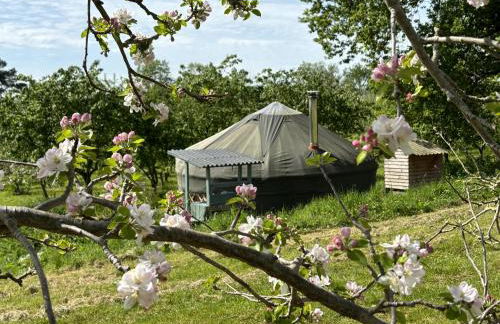 Dragon Orchard Retreat - Foto 14