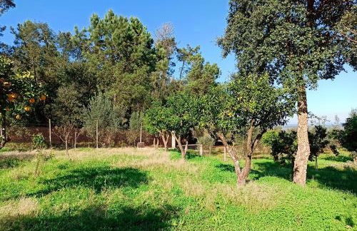 Refúgio de Alburitel - Foto 40