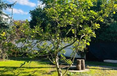 Dom z ogrodem w zaciszu W-wy - Foto 24