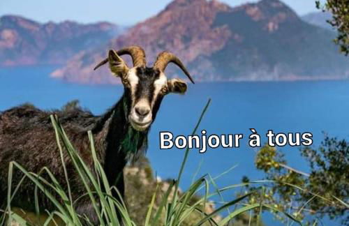 Les villas de Mélody - Foto 72