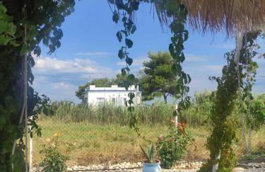 Los Almyros - Photo 25