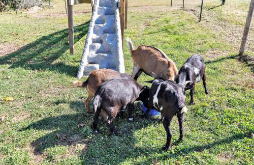 The Goat House Waterfront Hottub Stargazing - Foto 137