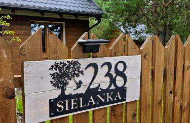 Borsk Sielanka - Foto 36