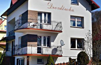 Apartament z tarasem i pokoje KLIMATYZOWANE -Drozdówka Solina - Foto 39