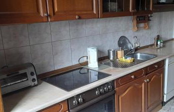 Agro-szyszynka - Foto 27