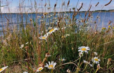 Gemütliche Zwei-Zimmer-Ferienwohnung "W1" in Zwenkau bei Leipzig im Neuseenland - Foto 41