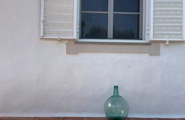 Casa das 3 Oliveiras - Foto 38