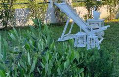 Corfu Olivia Apartments - Foto 25