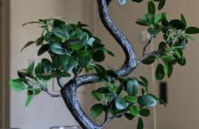 Évasion - Orly à 12 min de Paris - Foto 10