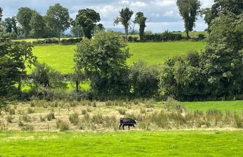 Littlemount Farm Cottage - Foto 62
