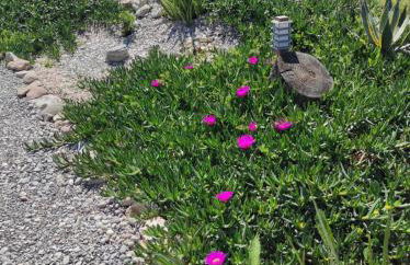 Mountain View Bungalows Dimilia - Foto 51