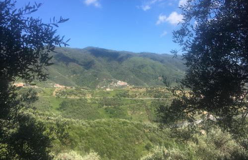 Appartamento Azalea - Foto 6